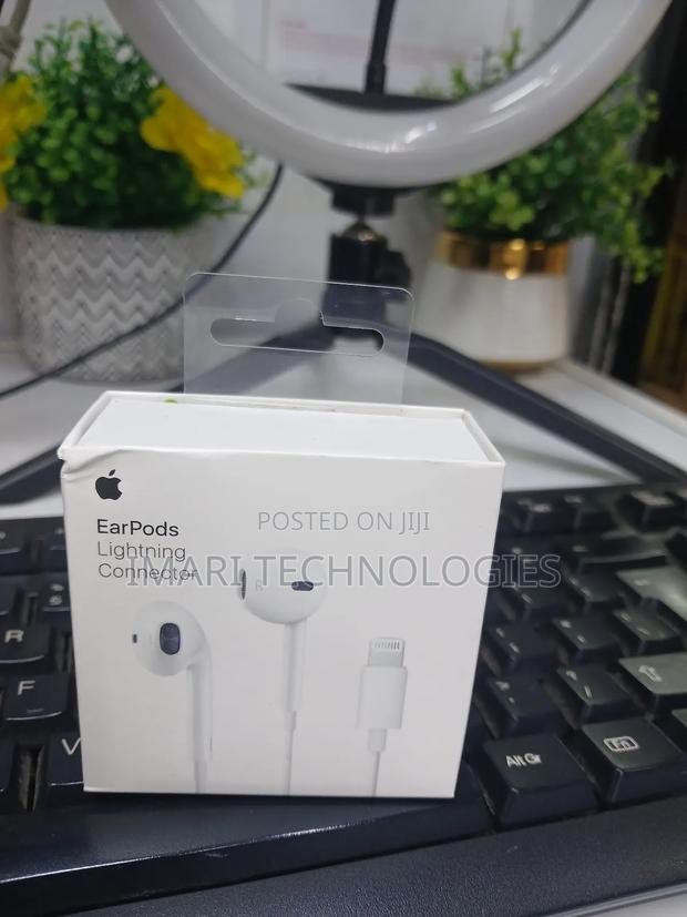 Apple Earphones - main view