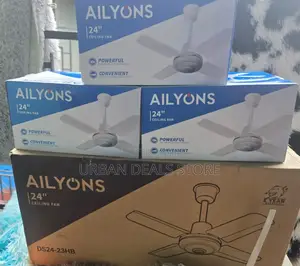 Ailyons 24 Inches Ceiling Fan With Powerful Motor