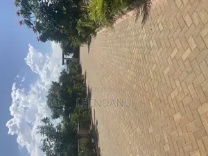 Beach One 1/2 Acre Plot