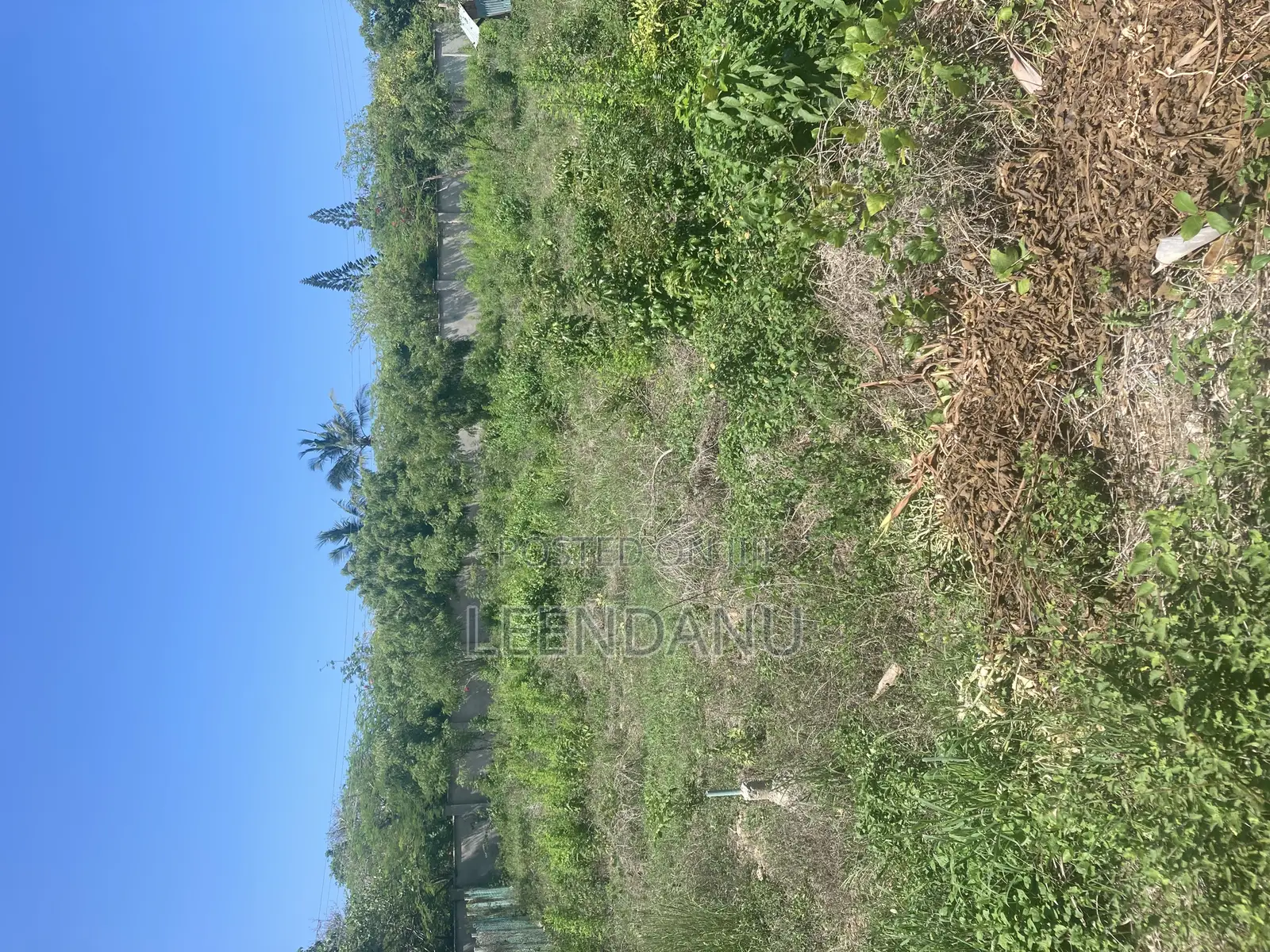 Beach One 1/2 Acre Plot