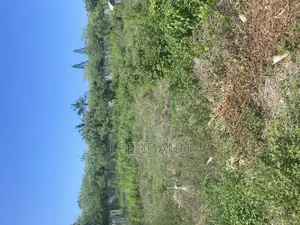 Beach One 1/2 Acre Plot