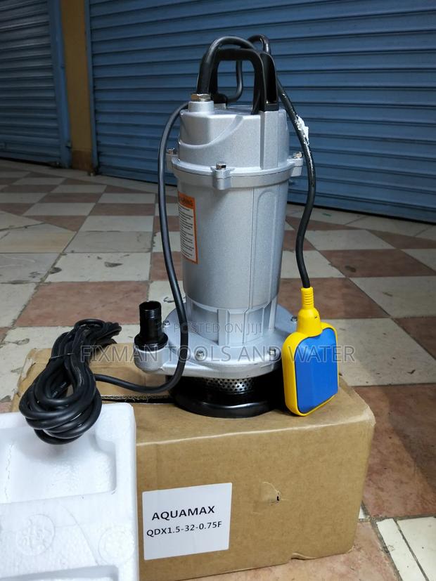Best Aquamax Water Pump 1 Hp 32m High 750 Watts 115l/ Min