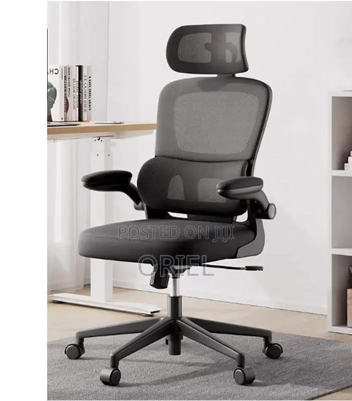 Office Chair : High-Back Ergonomic Computer Study Office Chair