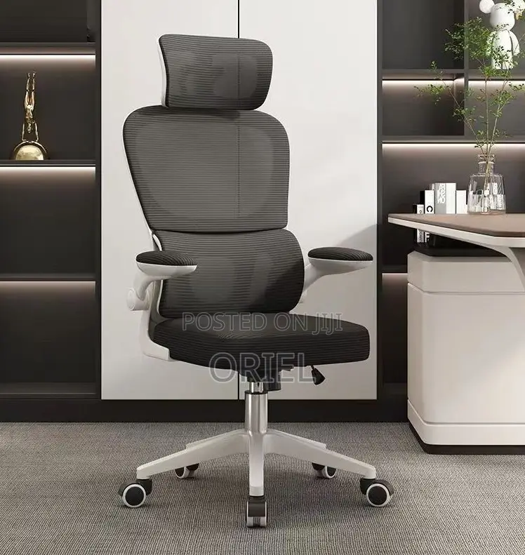Office Chair : High-Back Ergonomic Computer Study Office Chair