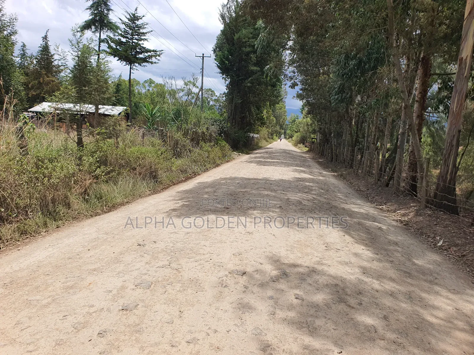1/4 Plot for Sale in Katheri Nanyuki