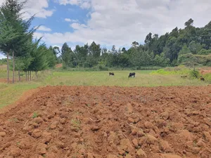 4.5 Acres in Nanyuki [ Katheri ]