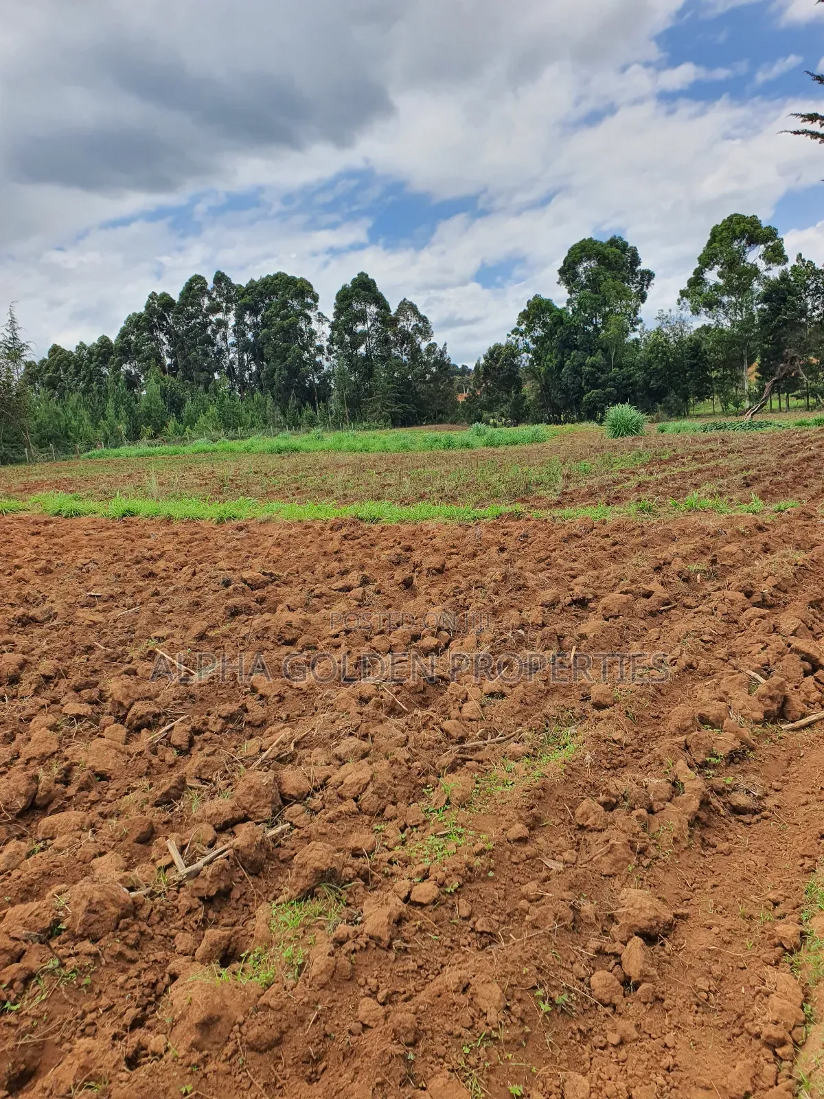 4.5 Acres in Nanyuki [ Katheri ]