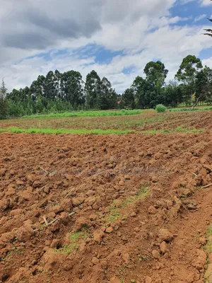 4.5 Acres in Nanyuki [ Katheri ]