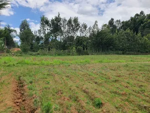 4.5 Acres in Nanyuki [ Katheri ]