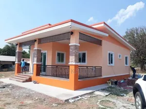 Painter Professional Wall Master