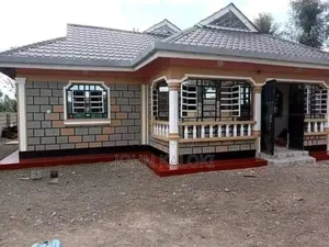Painter Professional Wall Master