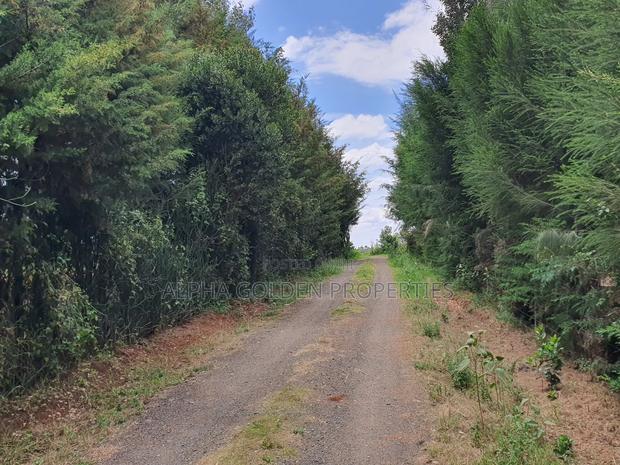 1 Acre in Nkando Estate - thumbnail 3