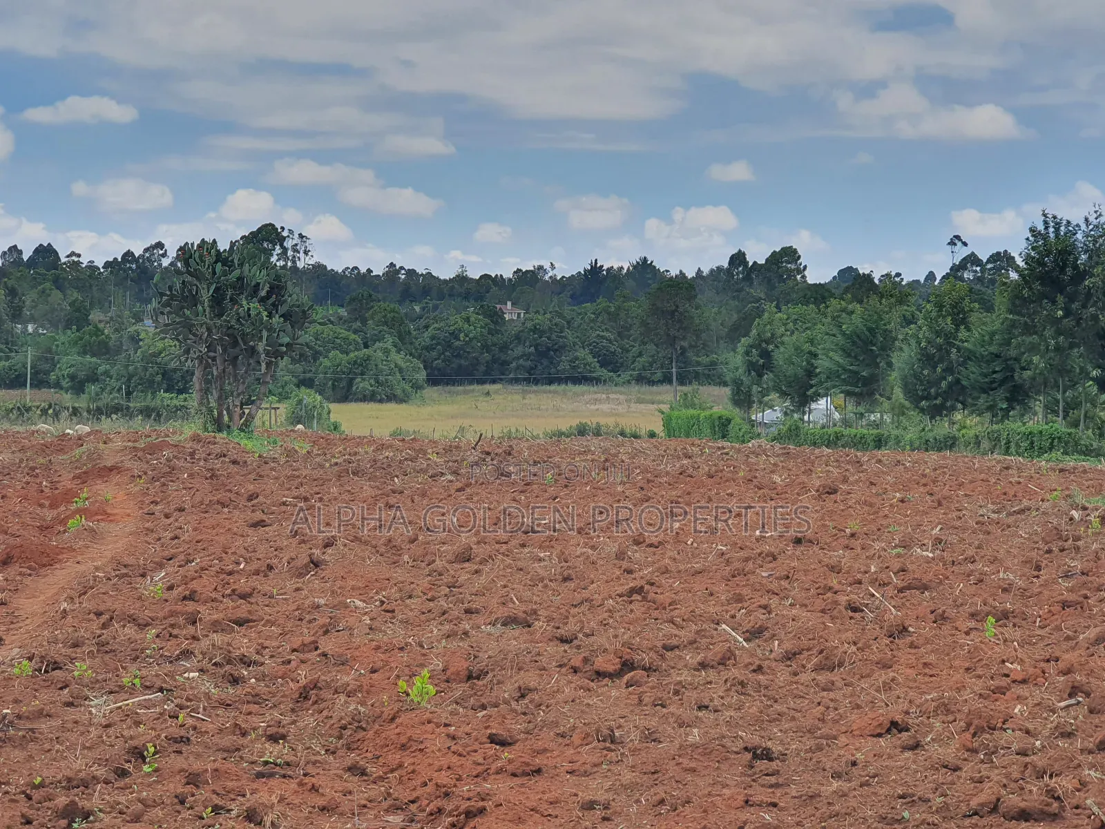 1 Acre in Nkando Estate