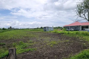 Kamakis Plots, 40*90