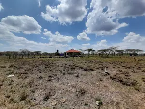 Prime 1/8th Acre Plots for Sale in Kitengela-Kimalat