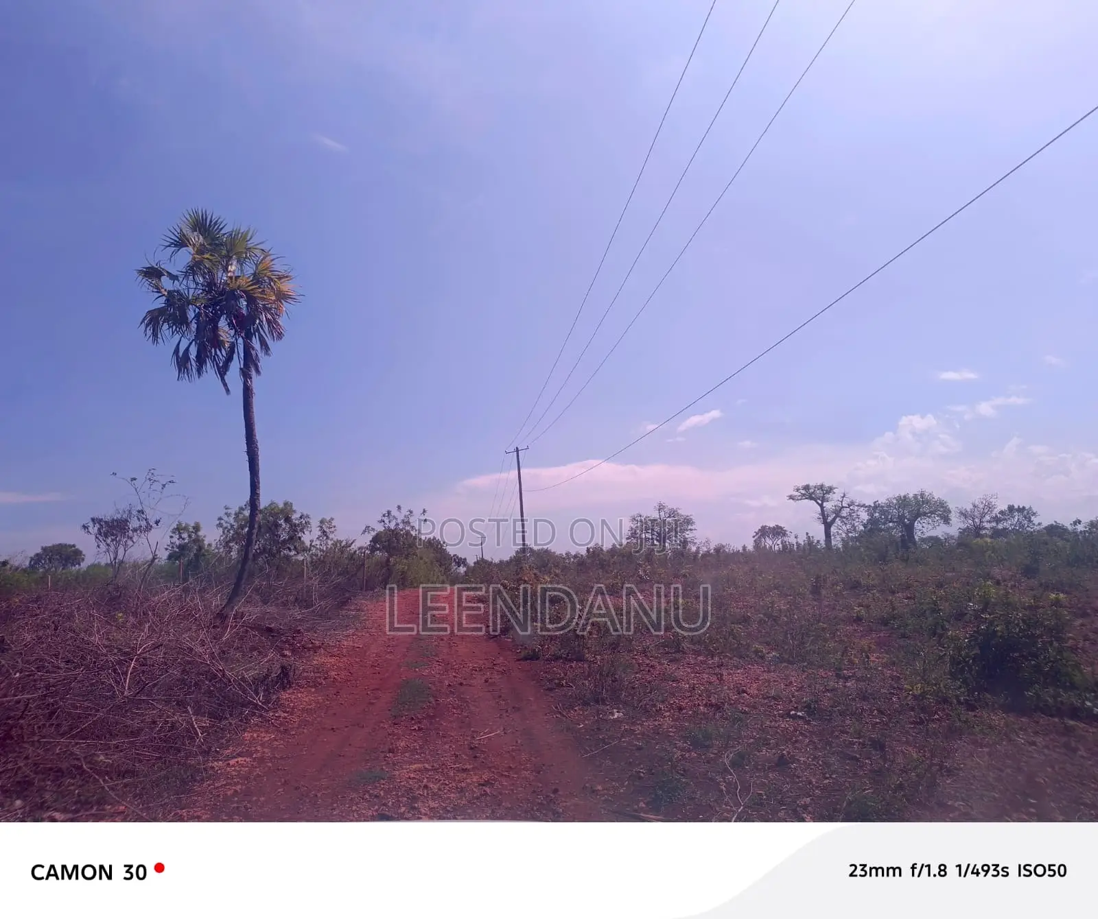 1/4acre Beach 3