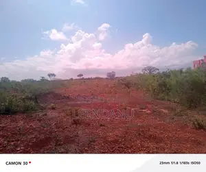 1/4acre Beach 3