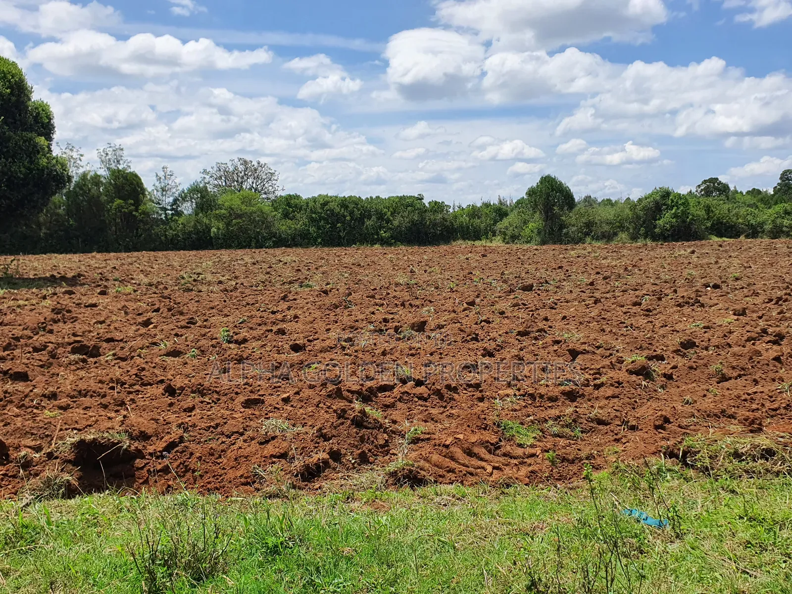 2 Acres in Nkando [ Nanyuki ]