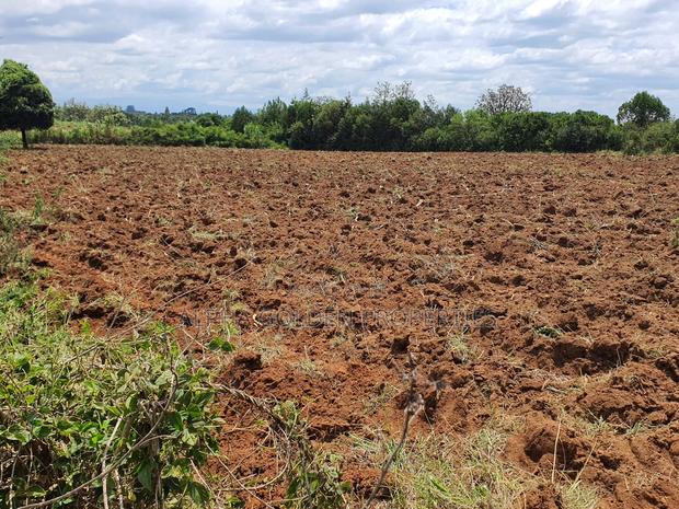 2 Acres in Nkando [ Nanyuki ] - thumbnail 3
