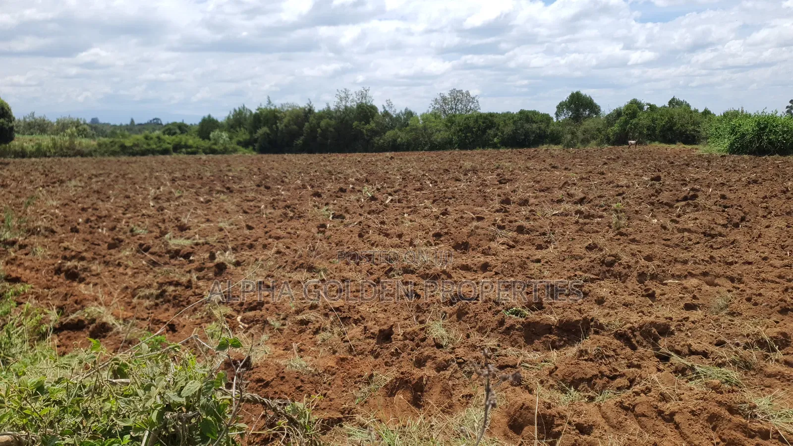 2 Acres in Nkando [ Nanyuki ]