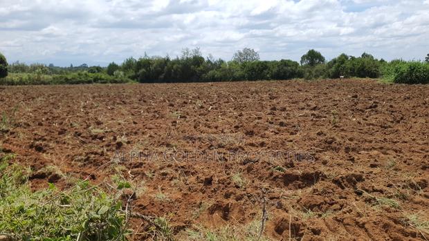 2 Acres in Nkando [ Nanyuki ] - thumbnail 4