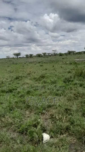 Affordable Plots For Sale In Kenanie – Pay In 12 Months
