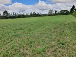 5 Acres on Sale Near Nanyuki Airstrip