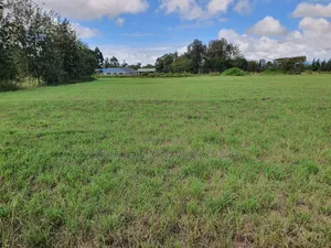 5 Acres on Sale Near Nanyuki Airstrip