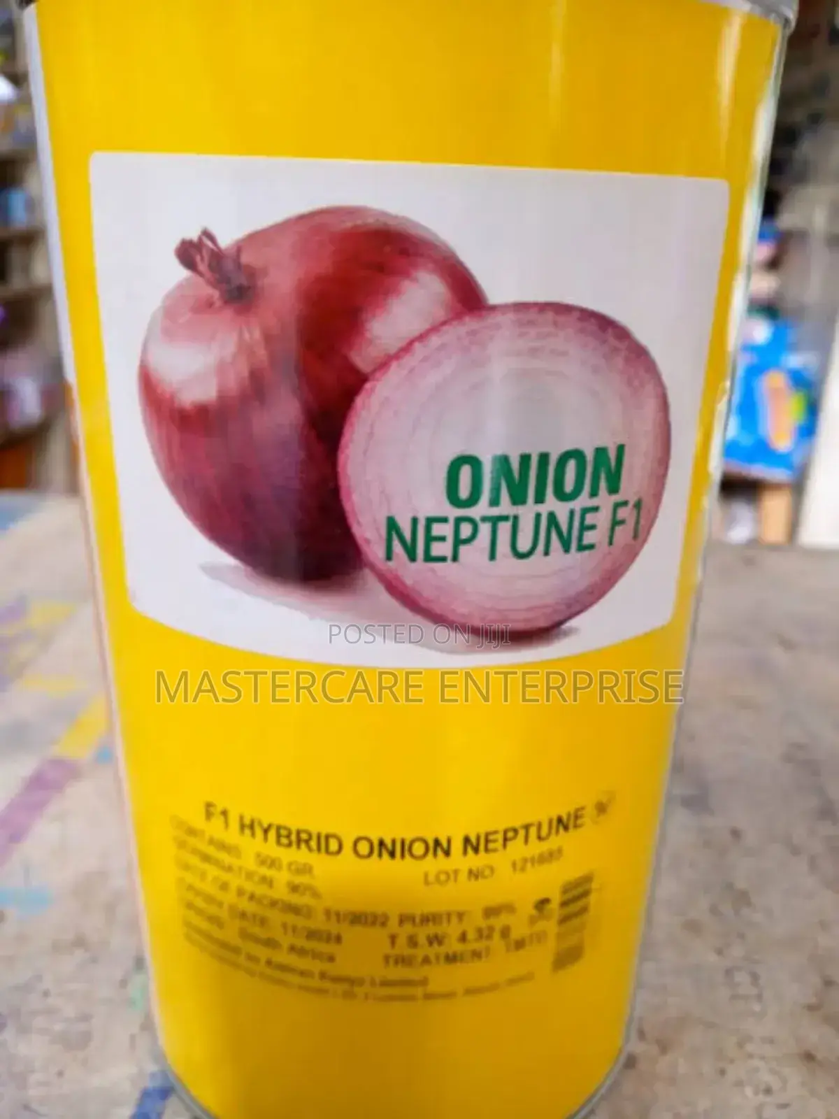 Neptune Onion 250 Grams Seedlings