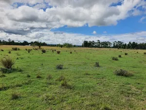 5 Acres in Nanyuki Airstrip