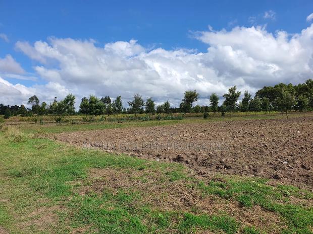 5 Acres in Nanyuki Airstrip - thumbnail 2