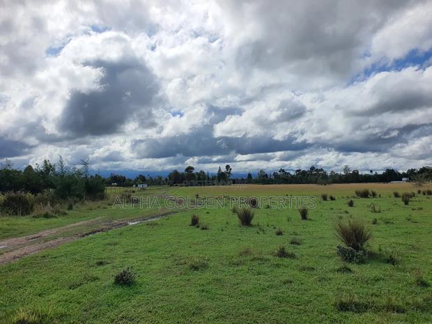 5 Acres in Nanyuki Airstrip - thumbnail 4