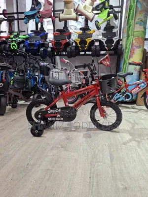 Kids Beginner Bike (Size 12 )