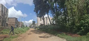 1 Acre and an Eight in Kabete White House