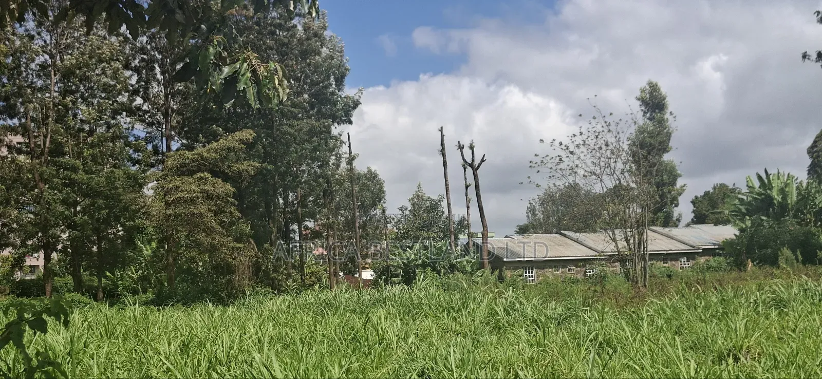 1 Acre and an Eight in Kabete White House