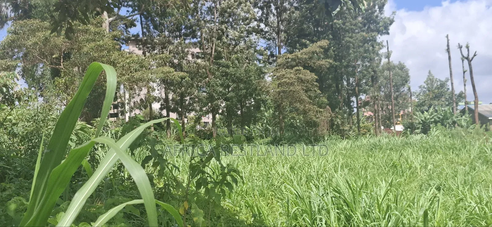 1 Acre and an Eight in Kabete White House