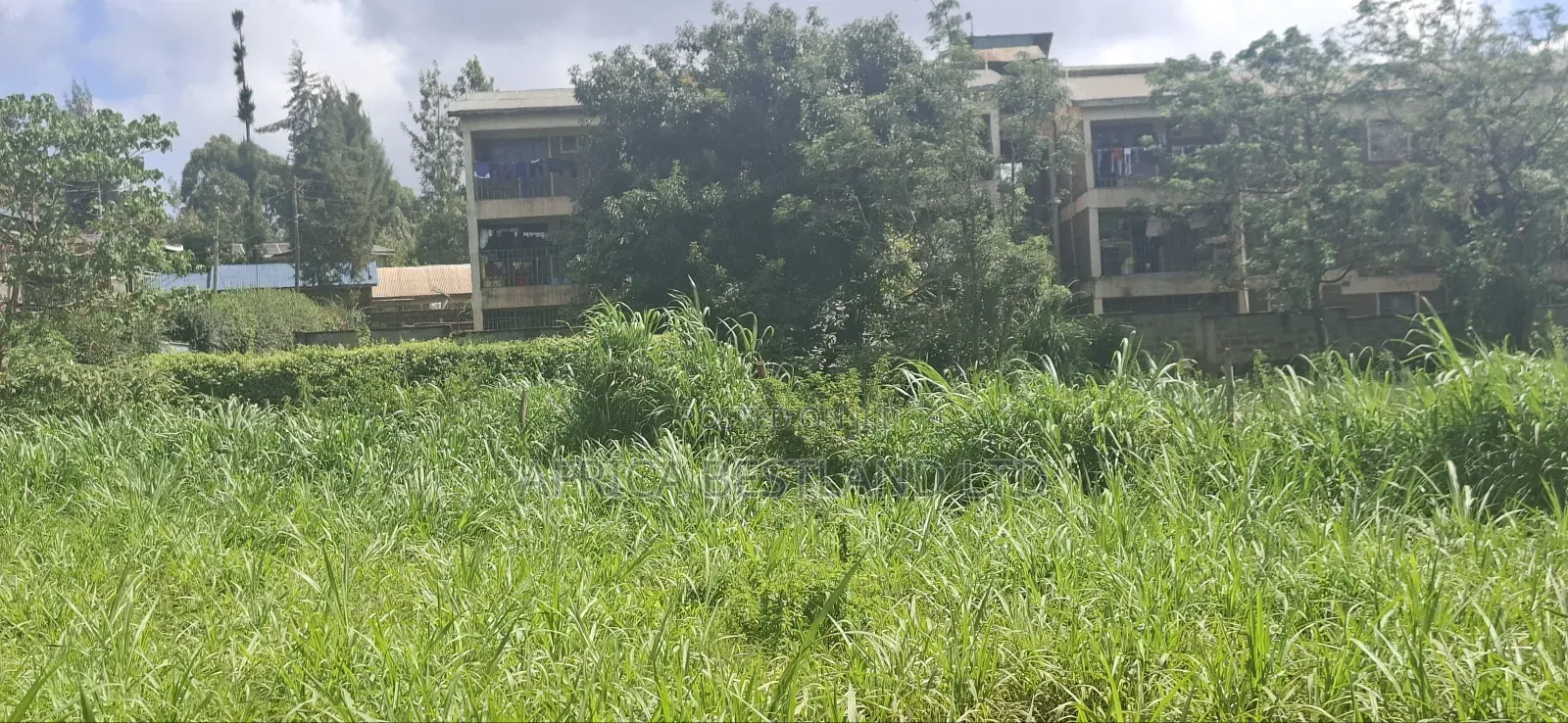 1 Acre and an Eight in Kabete White House