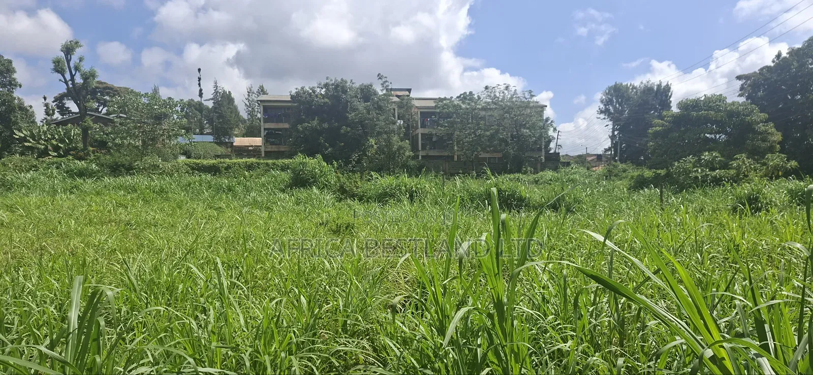 1 Acre and an Eight in Kabete White House