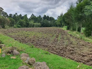 4.5 Acres in Nanyuki With River Frontage