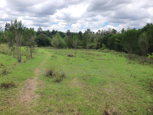 4.5 Acres in Nanyuki With River Frontage - thumbnail 3