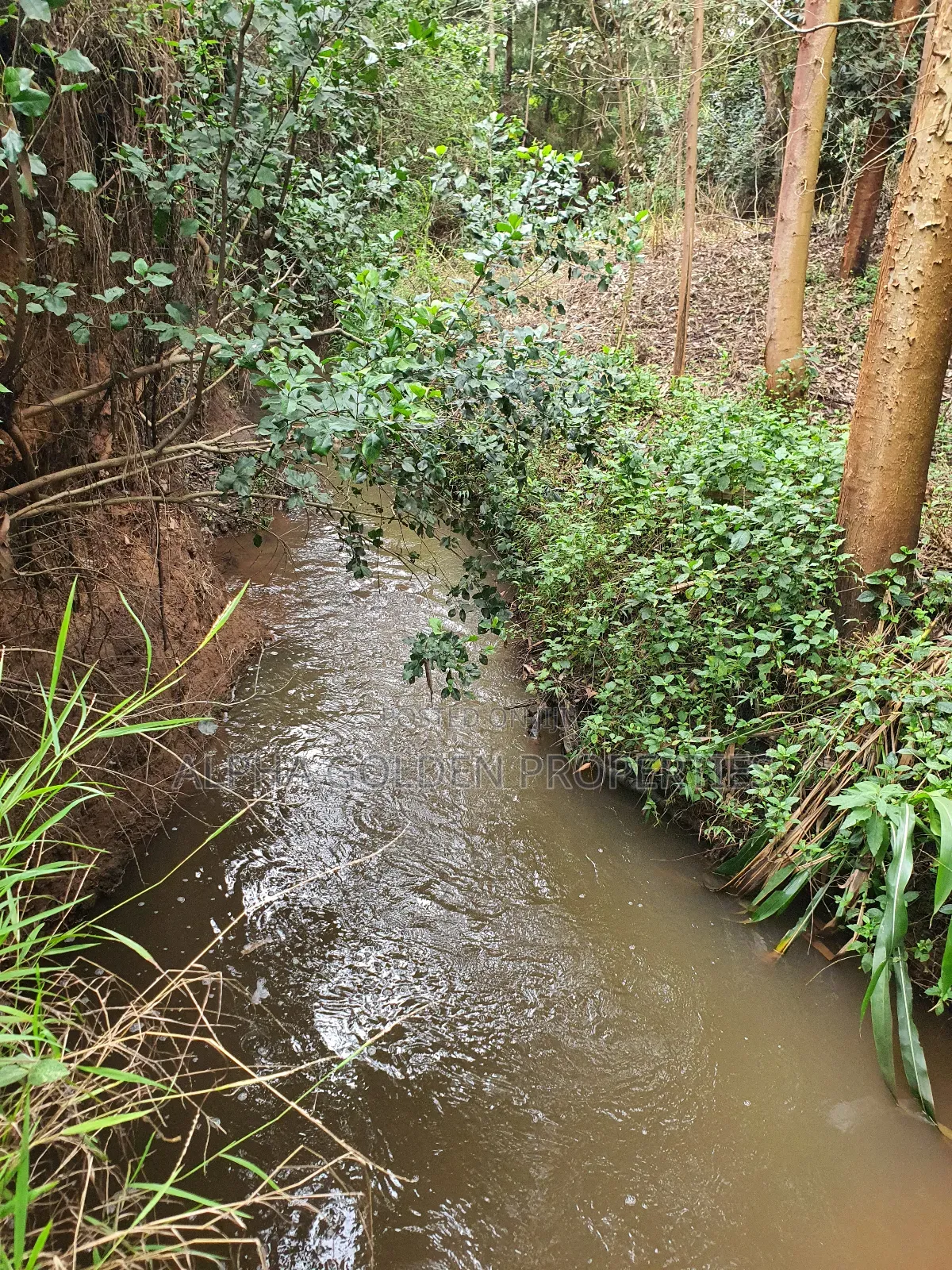4.5 Acres in Nanyuki With River Frontage