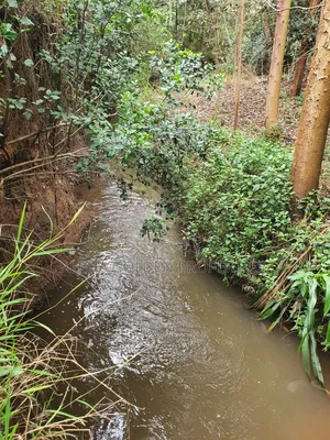 4.5 Acres in Nanyuki With River Frontage