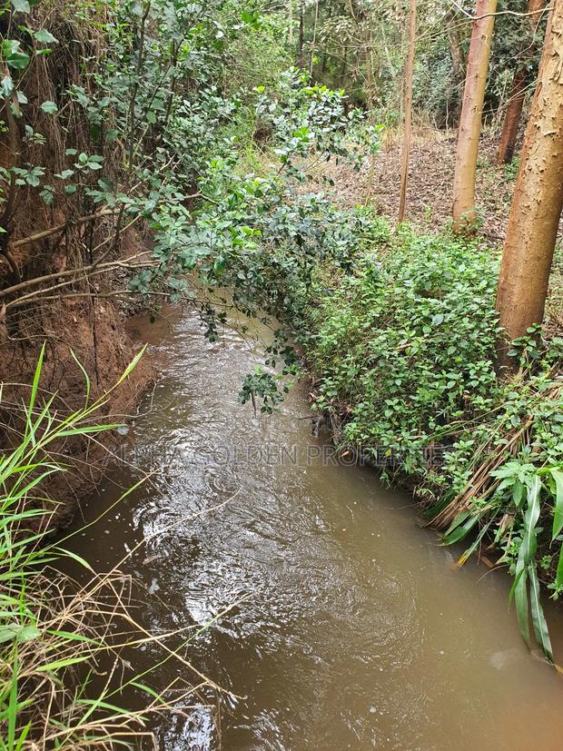 4.5 Acres in Nanyuki With River Frontage - thumbnail 4