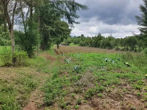 4.5 Acres in Nanyuki With River Frontage