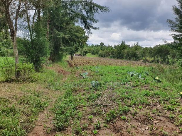 4.5 Acres in Nanyuki With River Frontage - thumbnail 5