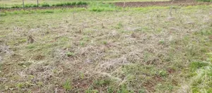 Two (1⁄4 Acres) of Prime Land for Sale.