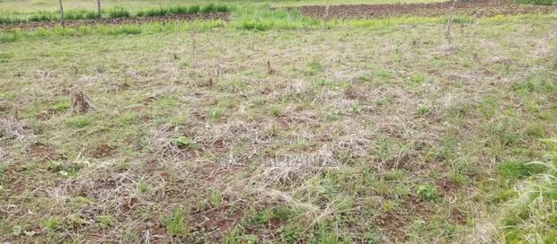 Two (1⁄4 Acres) of Prime Land for Sale.