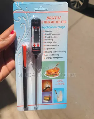 Digital Food Thermometer