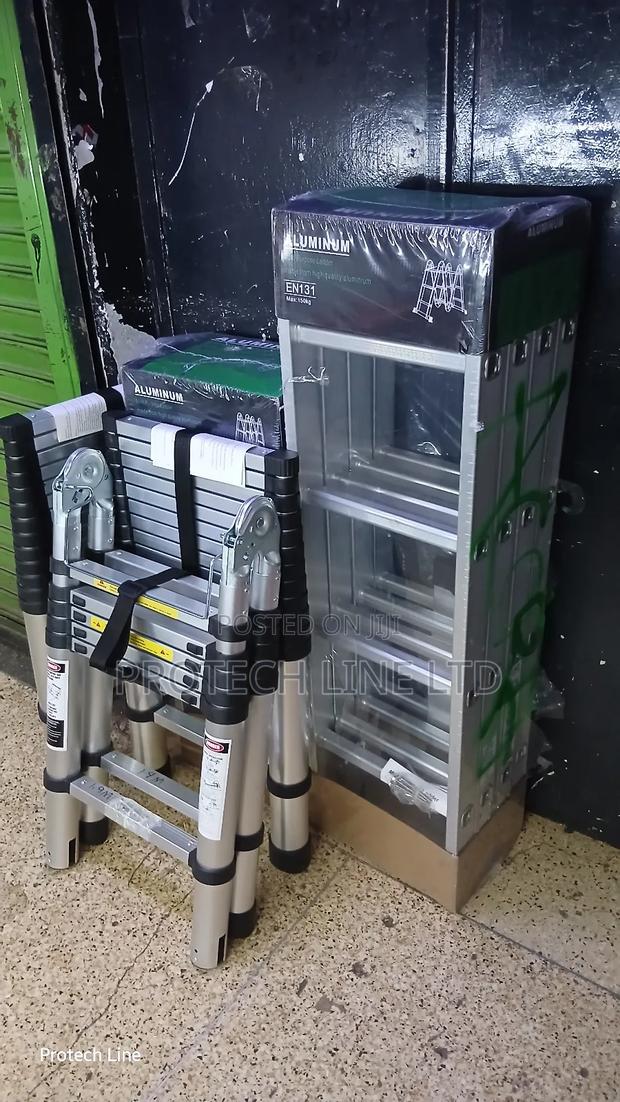 Ladders in Kenya - main view