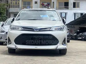 Toyota Corolla Fielder 2019 Pearl